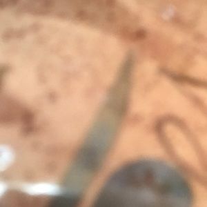 Meet your Posher, Deyanira